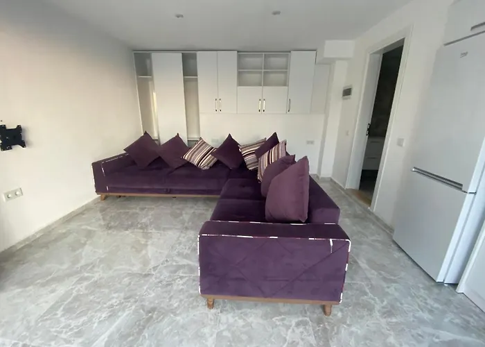 Single At Adabuku Seba Solemar Site -luxury Utilities Included *